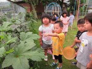 夏野菜